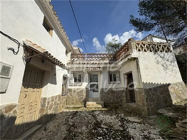Spot image