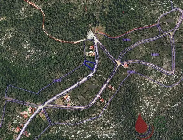 Spot image