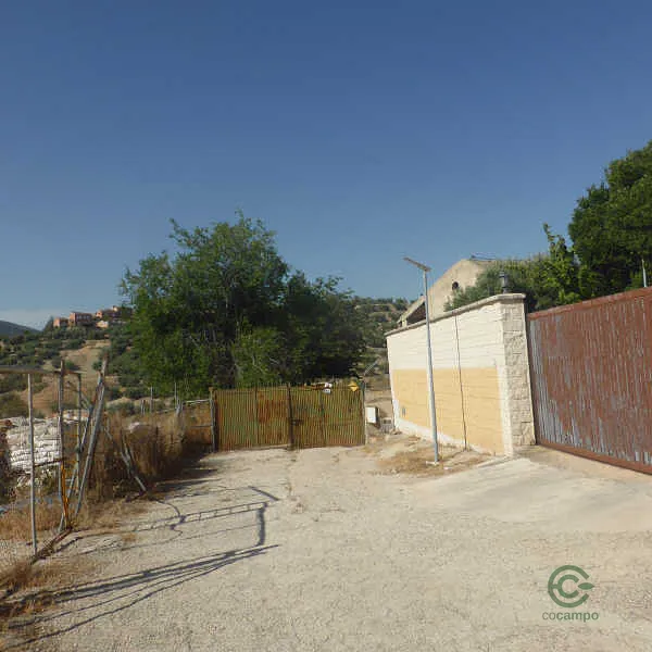Spot image