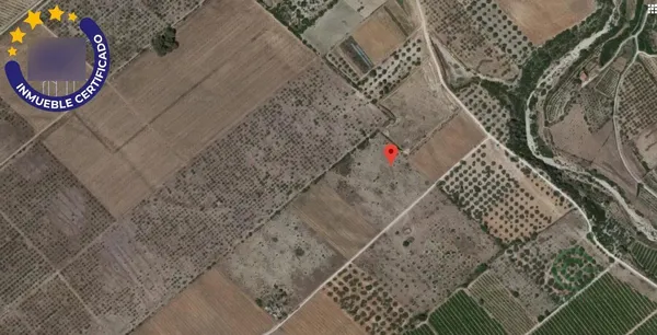 Spot image