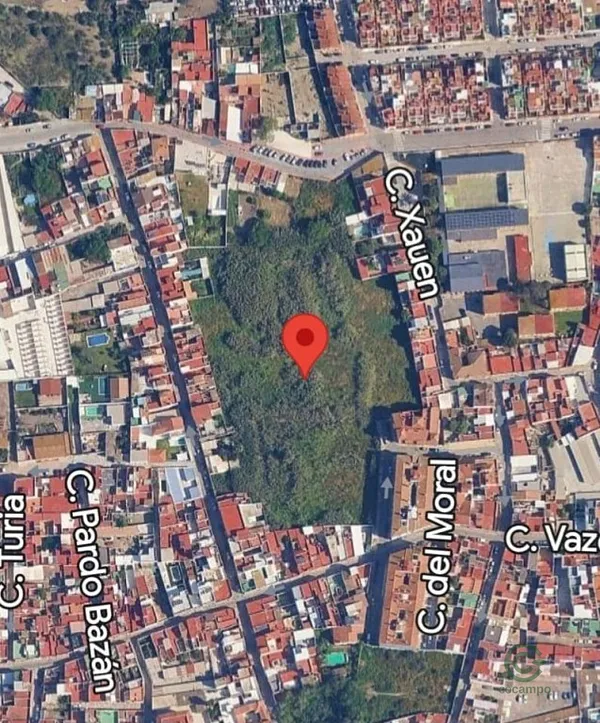 Spot image