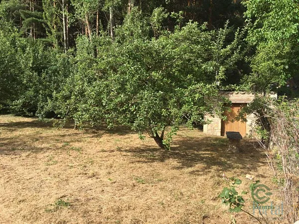 Spot image