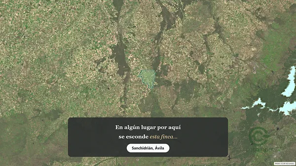 Spot image