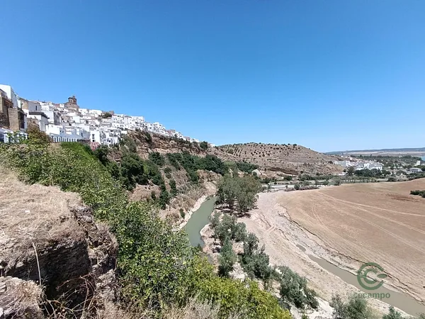 Spot image