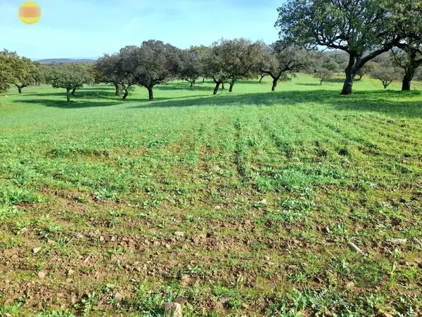 Finca rústica de 107,5673 ha en venta en Villanueva de los castillejos, Huelva