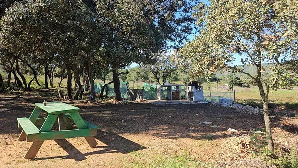 Finca rústica de 0,8409 ha en venta en Vall d'alba, Castellon