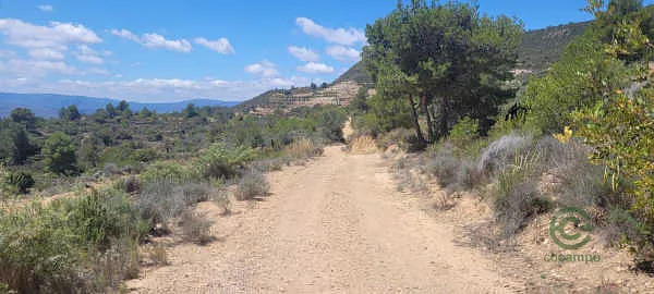 Finca rústica de 0,73 ha en venta en Villar del Arzobispo, Valencia