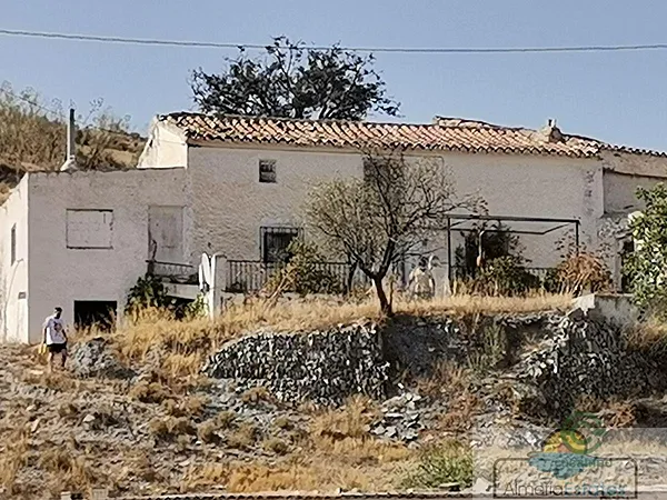 Spot image