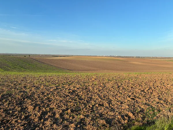 Finca agrícola de 5 ha en venta en Sevilla