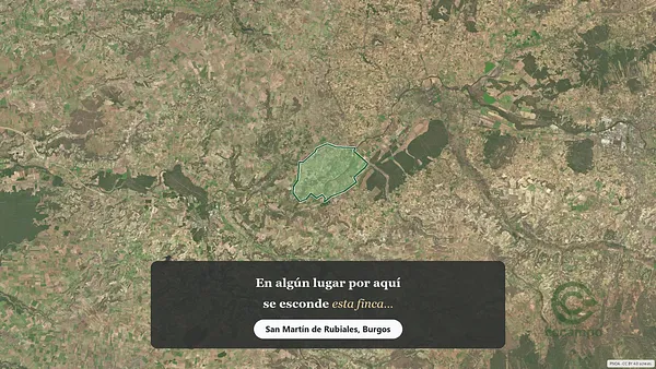Spot image