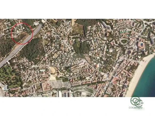 Spot image