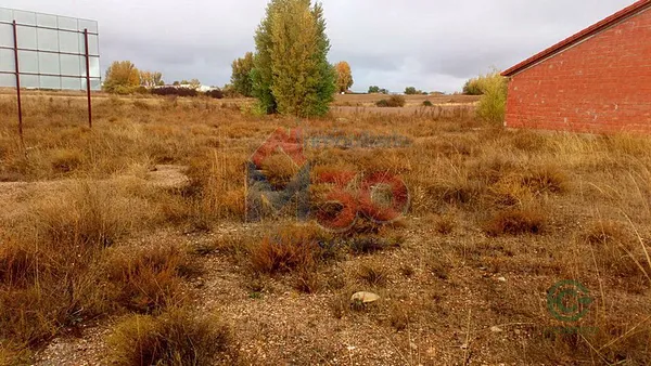 Spot image