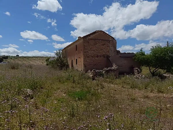Spot image