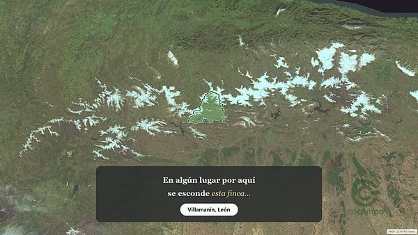 Spot image