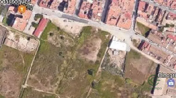 Spot image
