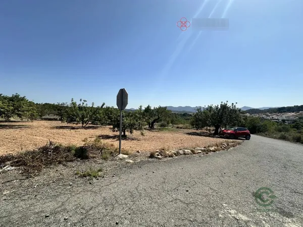 Spot image