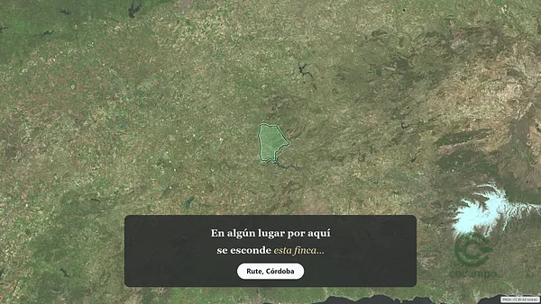 Spot image