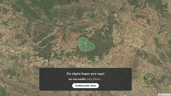 Spot image