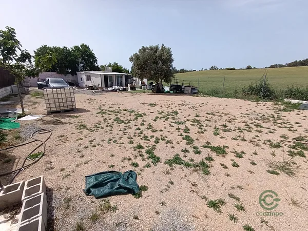 Spot image