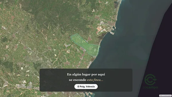Spot image