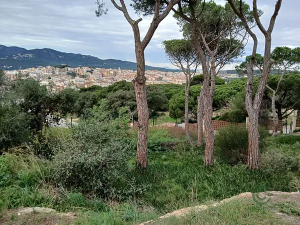 Spot image