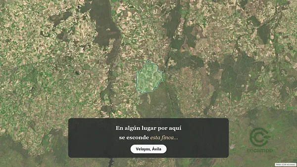 Spot image