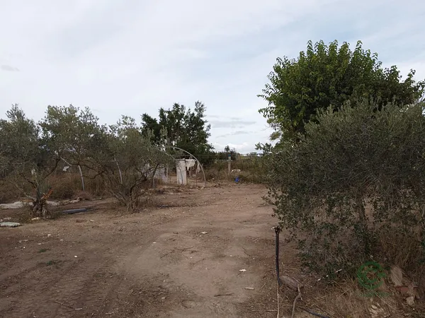 Spot image