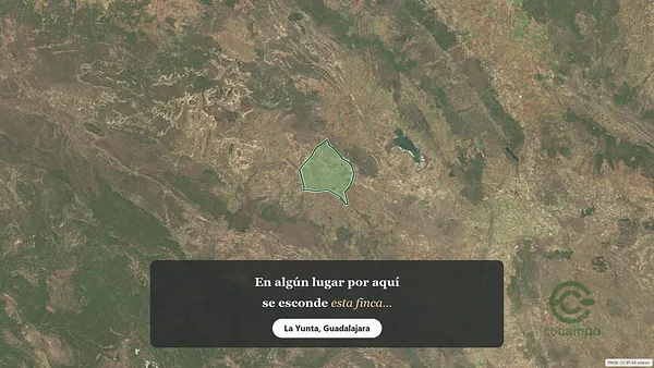Spot image