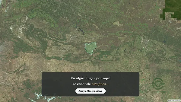 Spot image