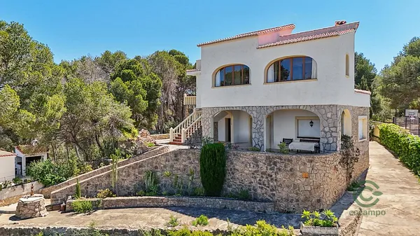 Spot image