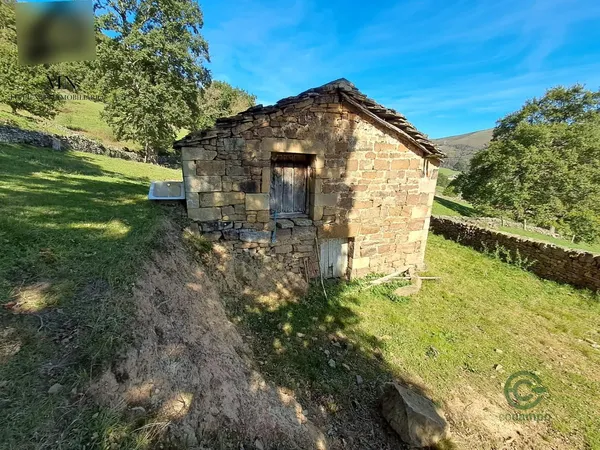 Spot image