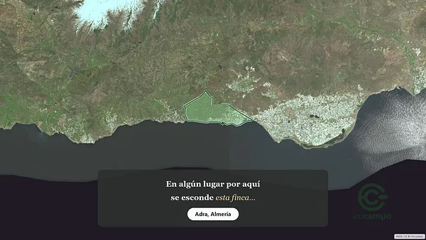 Spot image
