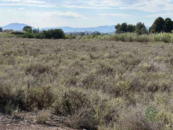Finca rústica de 0,26 ha en venta en Villena, Alicante