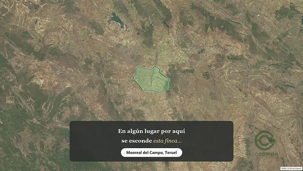 Spot image