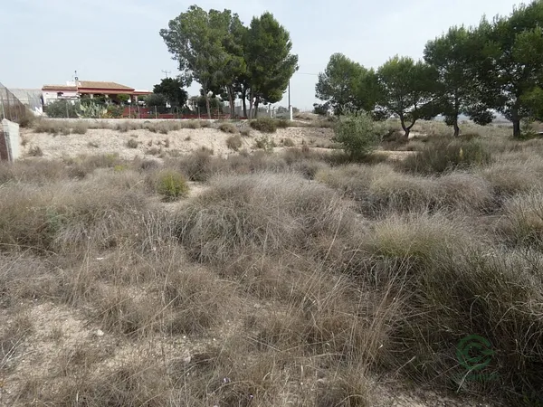 Spot image