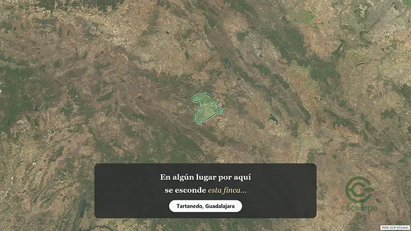 Spot image