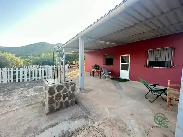 Spot image