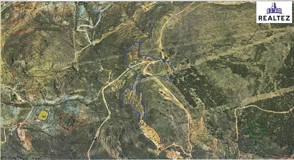 Spot image