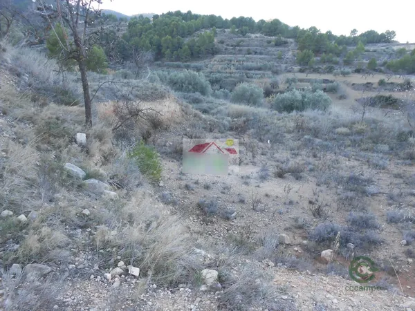 Spot image