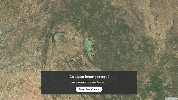 Spot image