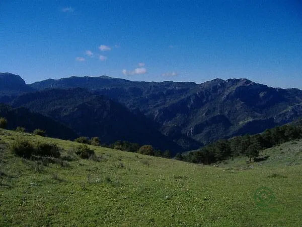 Spot image