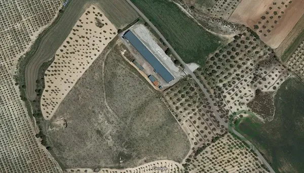 Spot image
