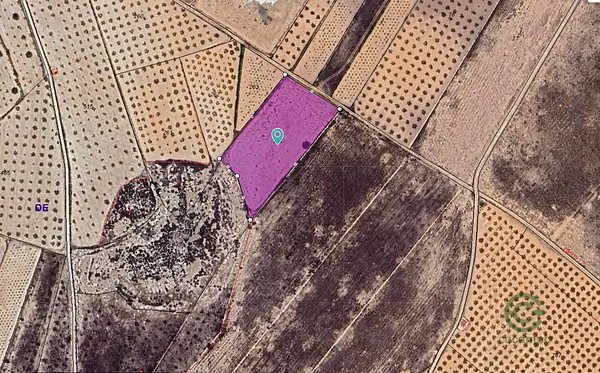 Spot image