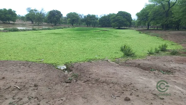 Finca ganadera de 3558 ha en venta en Chaco