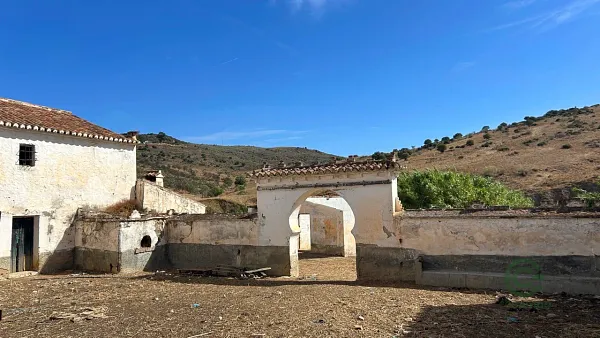 Spot image