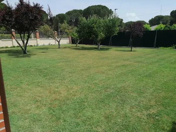 Finca agrícola de 0,102 ha en venta en Villanueva de duero, Valladolid
