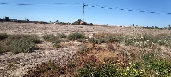 Finca agrícola de 2,24 ha en venta en Elche pedanias, Alicante