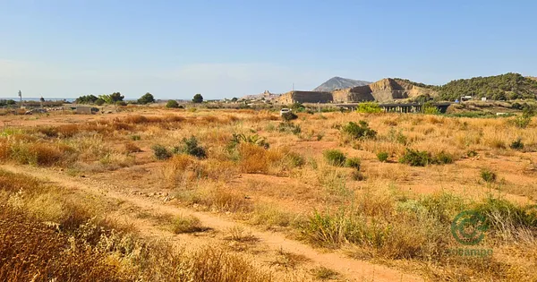 Spot image