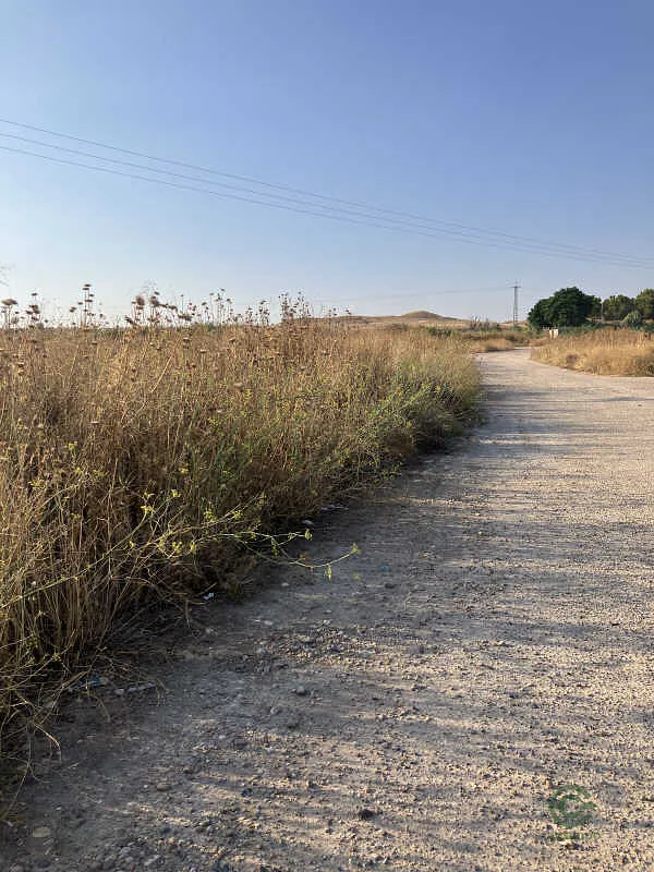 Finca rústica de 9,5989 ha en venta en Algete, Madrid