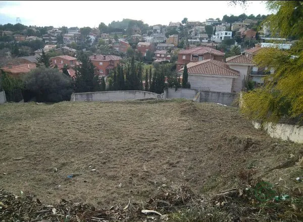 Spot image